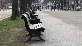 Parkbänke Belina von Runge in Grün lackiert Unter den Linden in Berlin Brandenburger Tor