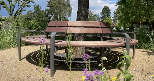 Rundbank Außenraum um den Baum Runge Calma 