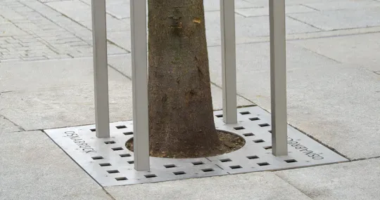 Baumschutz von Runge