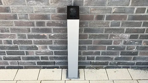 Ascher Smoky auf Fehmarn