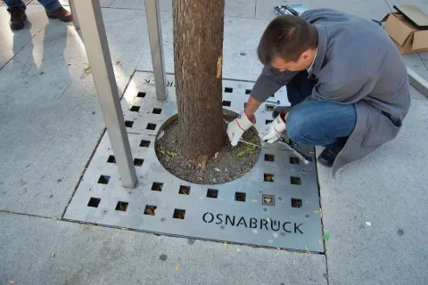 Montage Baumschutzgitter BOS von Runge